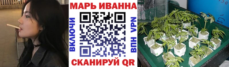 Бошки марихуана Amnesia  Кадников 